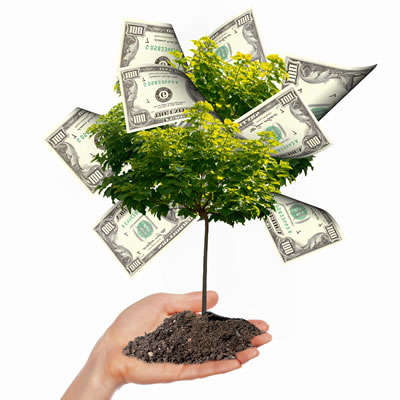 Money growing on tree