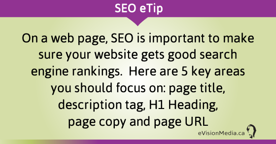 eTip: On a web page, SEO is important to make sure your website gets good search engine rankings.  Here are 5 key areas you should focus on: page title, description tag, H1 Heading, page copy and page URL.