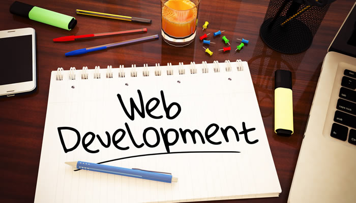 How to Determine Who to Hire To Be Your Next Ideal Web Developer - Critical Benefits and Drawbacks You Need to Know About Different Web Developer Types