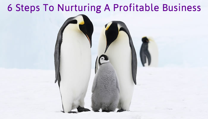 6 Steps To Nurturing A Profitable Business