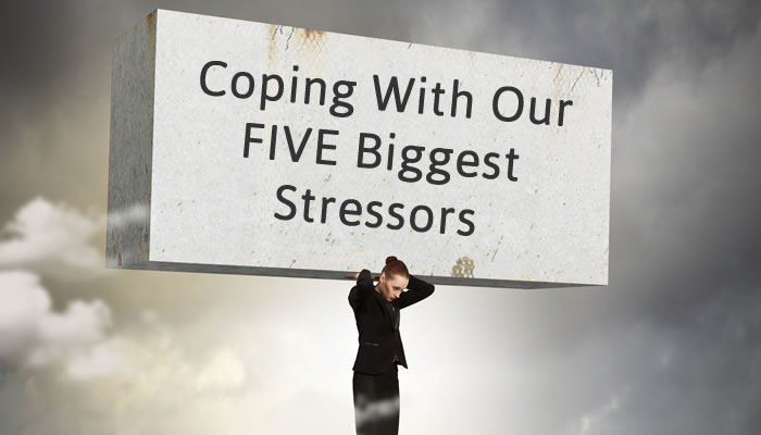 The Purpose Behind Our Five Biggest Stressors How to Cope When Dealing With the Death of a loved one, Divorce, A Move, A Major Illness, or A Job Loss