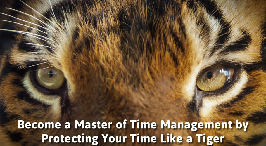 Become a Master of Time Management by Protecting Your Time Like a Tiger
