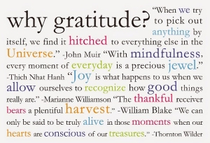Why gratitude? Gratitude Quotes