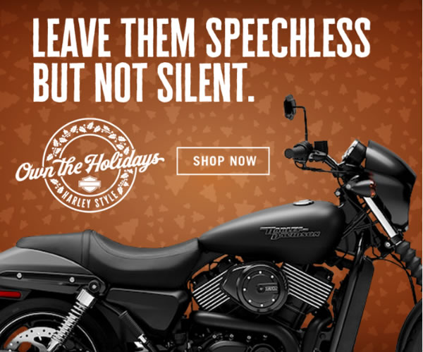 Harley Davidson's brand voice