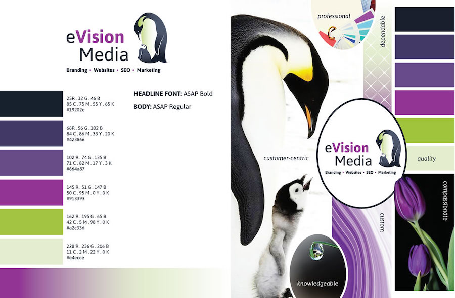 eVisionMediaStyle Guide