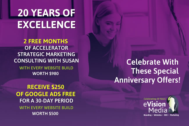 Celebrating 20 years of excellents - 2 free months consulting and $250 Google Ads