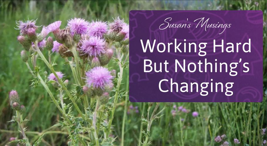 working hard but nothings changing susan friesen